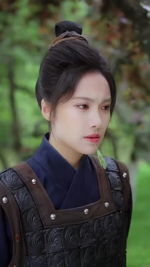 将门贵女（73集）短剧全集热力排行榜之一