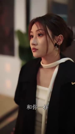 不可饶恕之难逃法网（20集）短剧超清全集在线看