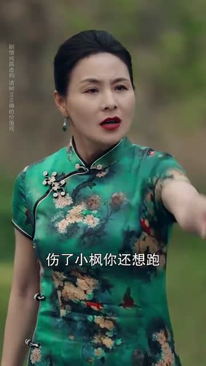 再相思处不相逢（65集）短剧全集解锁零收费