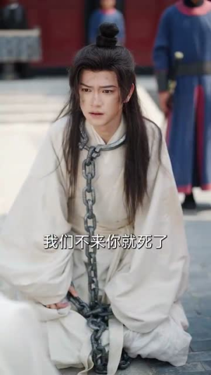山河换婿（80集）短剧合集导演剪辑版